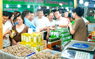 Hỗ trợ các hợp tác xã mở rộng thị trường
