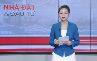 Bản tin Nhà đất và đầu tư | 21/10/2026