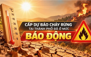 Cảnh báo cháy rừng (21/10/2026)