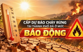 Cảnh báo cháy rừng (22/10/2026)