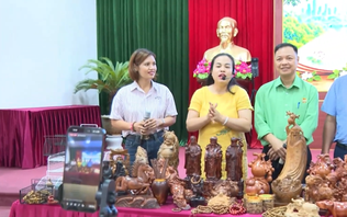 Hỗ trợ nông dân xã Tam Hưng, Dân Hòa chuyển đổi số