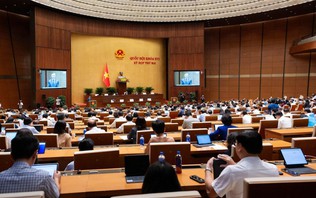 Chính phủ đề xuất đánh thuế 0,2% với đất bỏ hoang