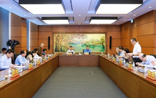 Hoàn thiện luật đấu thầu, tháo gỡ vướng mắc cho doanh nghiệp