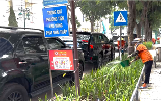 Phường Cửa Nam tăng diện tích cây xanh, thảm cỏ giảm phát thải