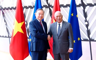 Việt Nam – EU thúc đẩy các trụ cột hợp tác mới