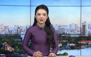 Chương trình Thời sự 11h30 | 24/10/2026