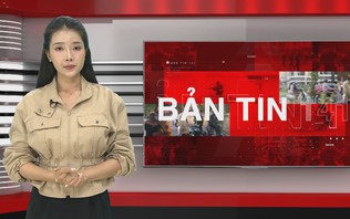 Bản tin 141 | 25/10/2026
