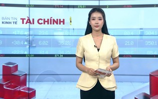 Bản tin Kinh tế Tài chính | 25/10/2026