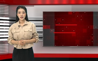 Bản tin 141 | 26/10/2026