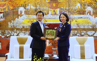 Hà Nội và Shizuoka kết nối văn hóa, du lịch
