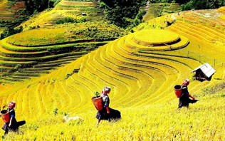 Việt Nam lọt top điểm đến dẫn đầu xu hướng du lịch mùa Thu