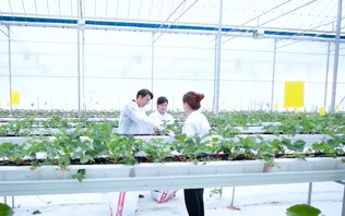 Nâng chất lượng, tăng sức cạnh tranh cho sản phẩm nông nghiệp | Nông nghiệp và Môi trường | 25/10/2026