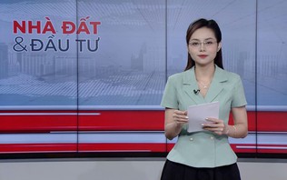 Bản tin Nhà đất và đầu tư | 26/10/2026