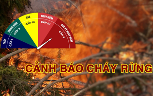 Cảnh báo cháy rừng (27/10/2026)
