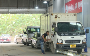 Xe vận tải thiếu, sai biểu trưng có thể trượt đăng kiểm