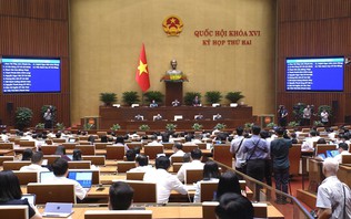 Quốc hội cho ý kiến về dự thảo Bộ luật Hình sự (sửa đổi)
