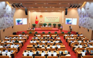 HĐND chưa thông qua thí điểm cơ chế đặc thù phát triển 5 tuyến đường sắt đô thị