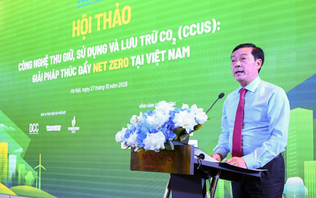 Nghiên cứu công nghệ thu giữ carbon - Hướng tới Net Zero