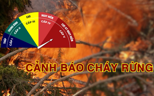 Cảnh báo cháy rừng (28/10/2026)