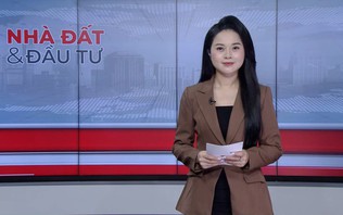 Bản tin Nhà đất và đầu tư | 28/10/2026