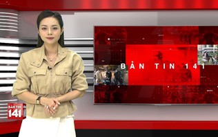 Bản tin 141 | 29/10/2026