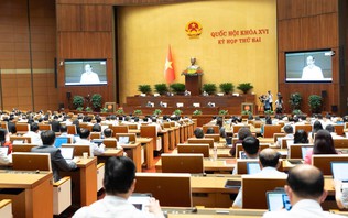 Ưu tiên phát triển nhà ở cho người thu nhập thấp, nhà ở cho thuê