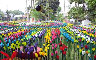 Philippines: Biến rác thải nhựa thành những vườn hoa đầy màu sắc