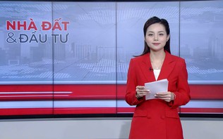 Bản tin Nhà đất và đầu tư | 29/10/2026
