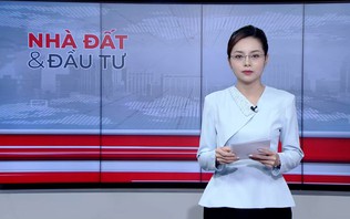 Bản tin Nhà đất và đầu tư | 30/10/2026