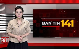 Bản tin 141 | 31/10/2026
