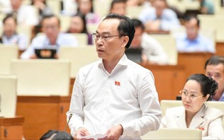 Năm học 2028-2029 sẽ cung cấp miễn phí sách giáo khoa