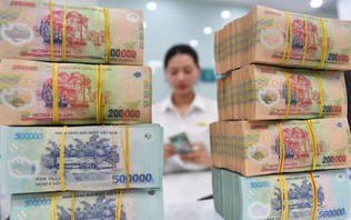 Nhiều ngân hàng lớn báo lãi quý III/2026