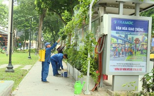 Hà Nội phủ xanh công trình hạ tầng giao thông