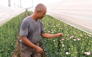 Hồi sinh đất hoang hóa, nâng cao giá trị kinh tế nông nghiệp