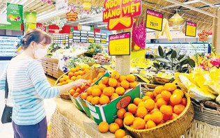 Phấn đấu doanh thu dịch vụ tiêu dùng tăng bình quân 14-15%/năm