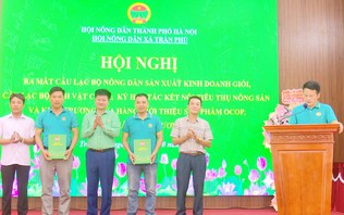 Kết nối nông dân, phát triển kinh tế