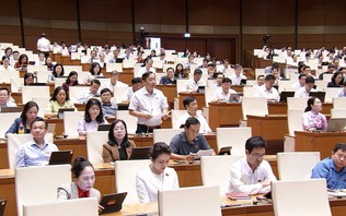 Lao động có bằng cấp - yếu tố then chốt nâng cao hiệu quả sản xuất