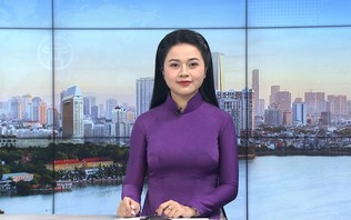 Chương trình Thời sự 11h30 | 31/10/2026