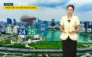 Dự báo thời tiết sáng | 31/10/2026