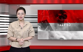 Bản tin 141 | 09/10/2026