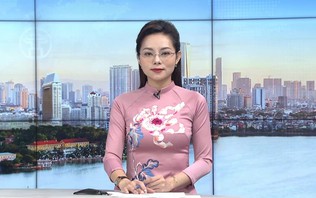 Chương trình Thời sự 9h00 | 08/10/2026