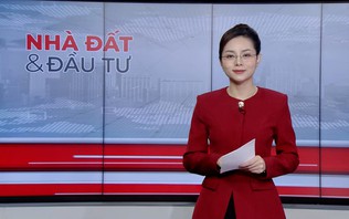 Bản tin Nhà đất và đầu tư | 09/10/2026