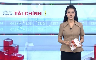 Bản tin Kinh tế Tài chính | 08/10/2026