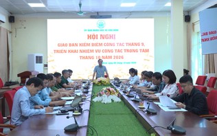 Xã Vân Đình giải ngân đầu tư công đạt 92% kế hoạch
