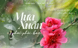 Mưa xuân phơi phới bay
