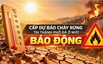 Cảnh báo cháy rừng (22/10/2026)