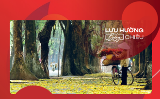 Nồng nàn phố thu Hà Nội