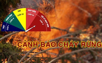Cảnh báo cháy rừng (24/10/2026)